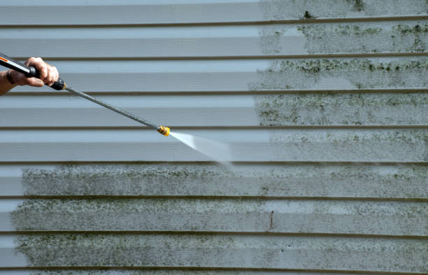 Best Patio and Deck Pressure Washing  in Crow Agency, MT